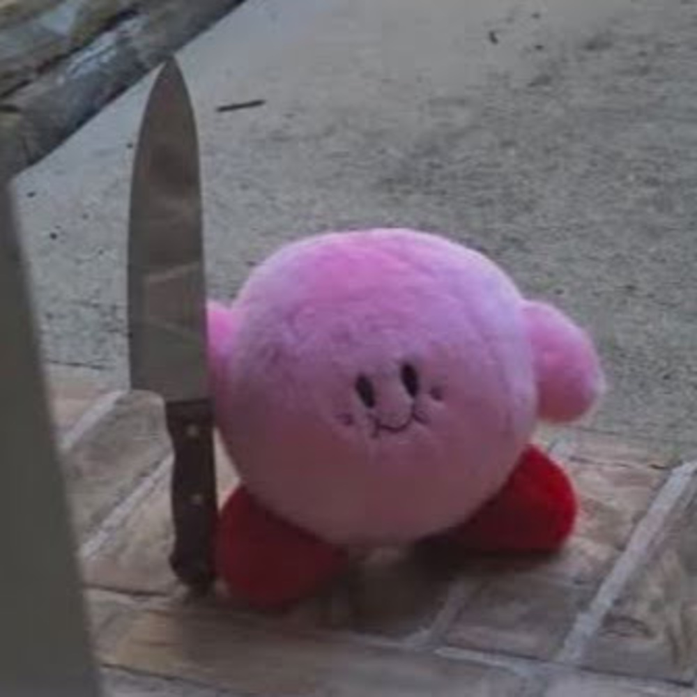 Meet your Posher, Mikaila